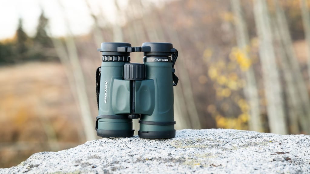 Celestron Nature DX 8x42 Binoculars: 8x magnification and 42mm objective lenses deliver bright, clear views of wildlife, landscapes, and celestial objects.
