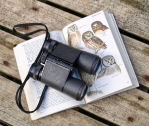 Top astronomy binoculars in 2024 showcased against a starry sky - A selection of high-quality binoculars for celestial observations.