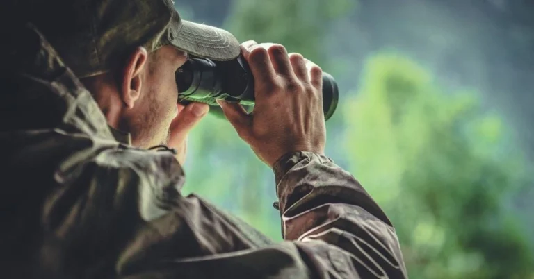 A close-up shot of a person looking through high-powered binoculars at a distant bird in its natural habitat.