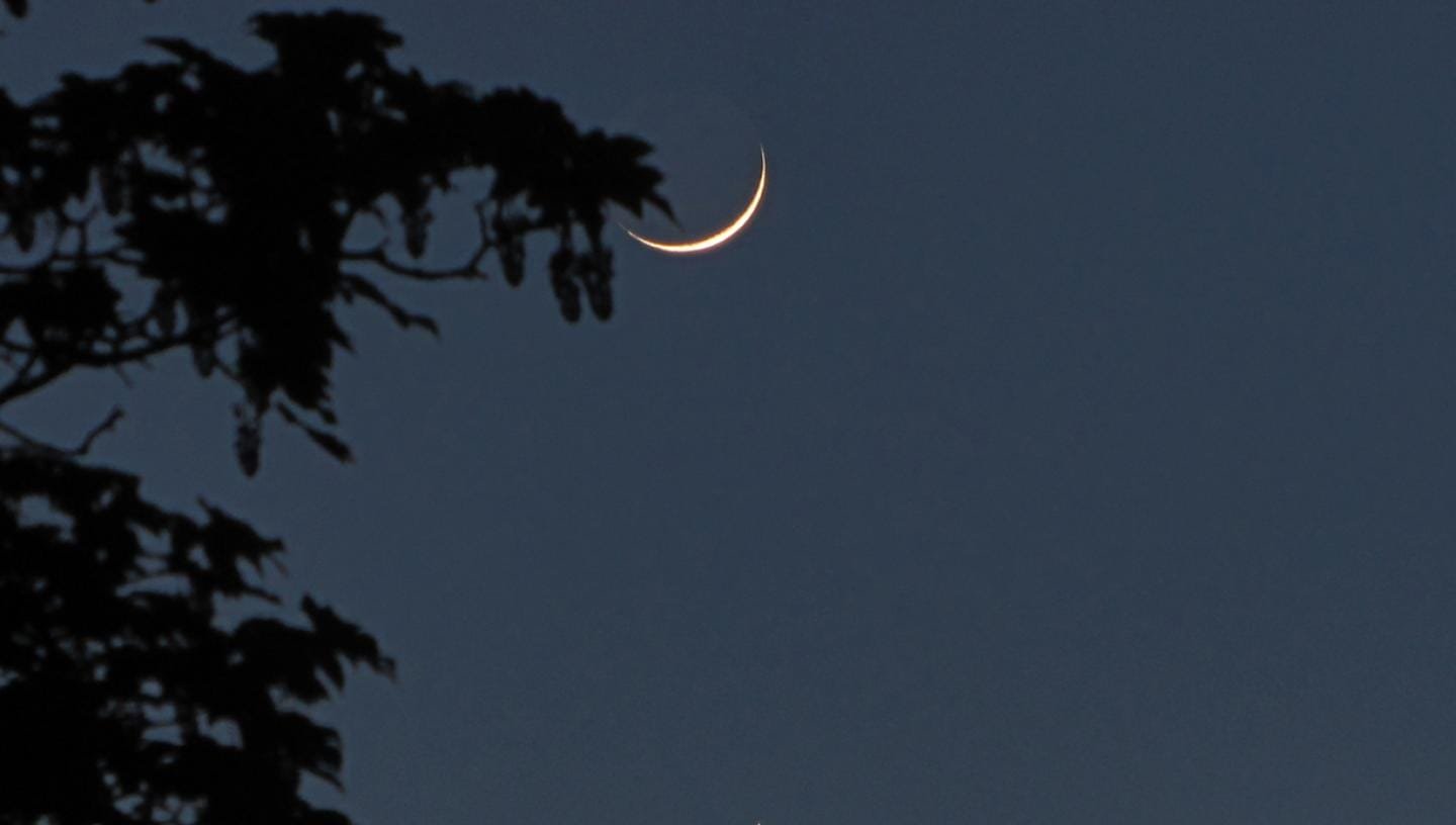Exploring The Moon: Beginner's Guide To Telescope Observing