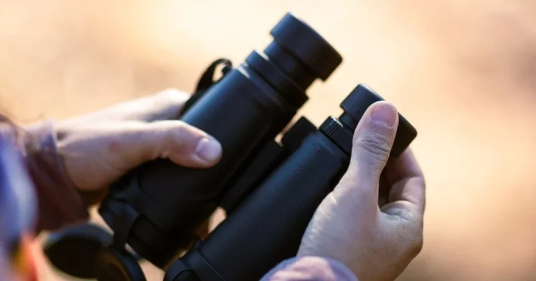 A person holding a pair of black compact binoculars in their hands