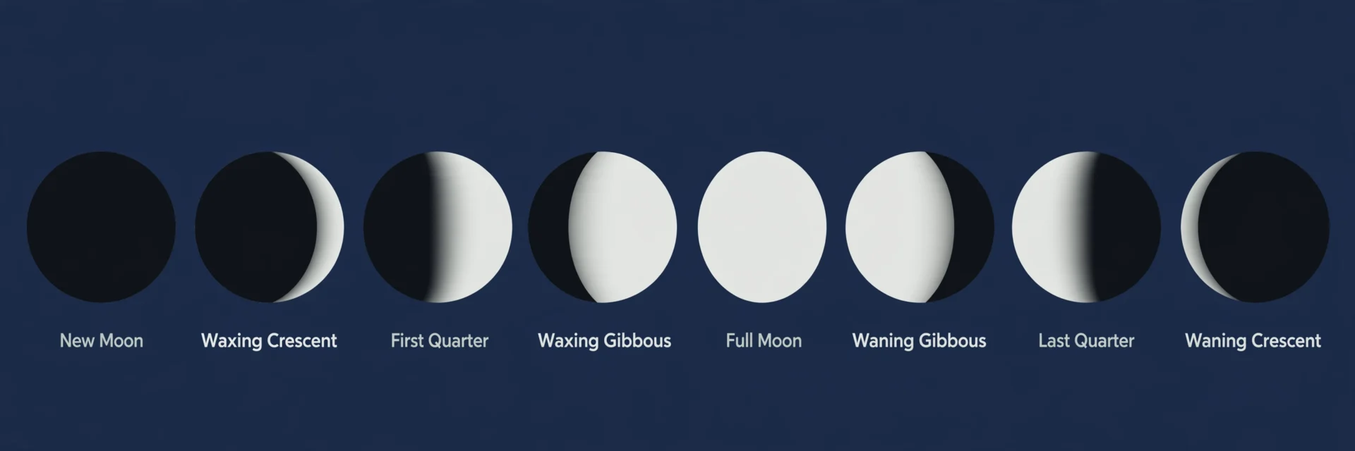 How to Use a Telescope to See the Moon: A Complete Beginner's Guide 6 Diagram of the eight Moon phases from new Moon to waning crescent
