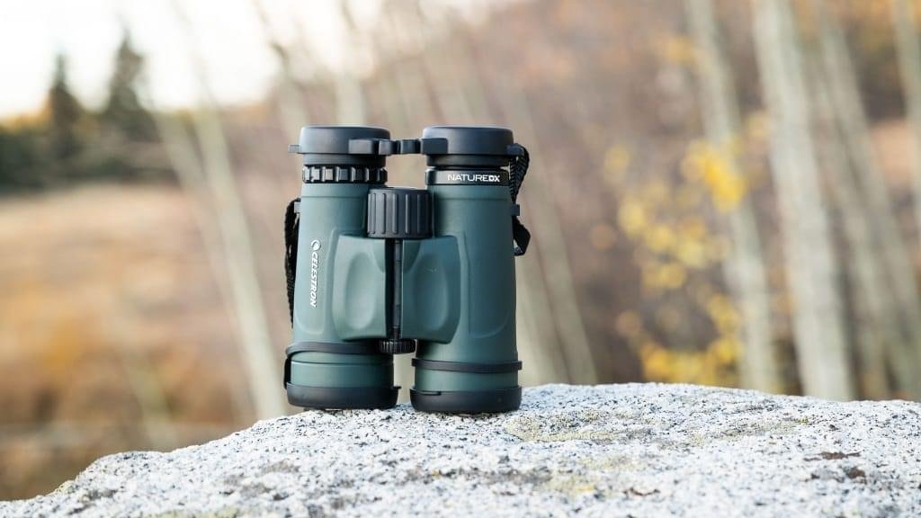 Celestron Nature DX 8x42 Binoculars: 8x magnification and 42mm objective lenses deliver bright, clear views of wildlife, landscapes, and celestial objects.
