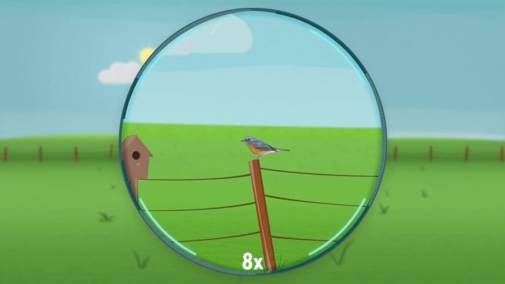 How Magnification Works in Binoculars